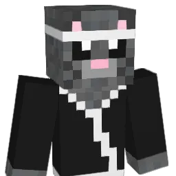 Senates Minecraft avatar bust