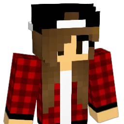 Sendi66's Minecraft skin