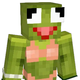 SenilArne Minecraft avatar bust