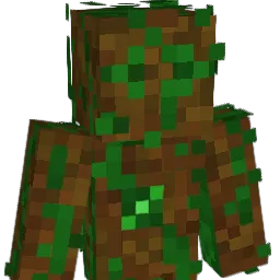 SenorRuca