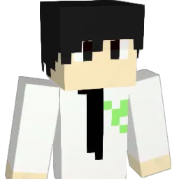 Seon134 Minecraft avatar bust