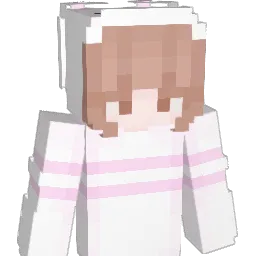 Seon_S2 Minecraft avatar bust