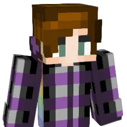 Sephiiden Minecraft avatar bust