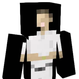 Sergerino Minecraft avatar bust