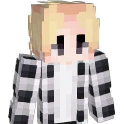 Servant_XV Minecraft avatar bust