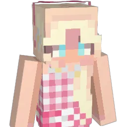 Sessizz Minecraft avatar bust
