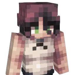 Sethagamer10 Minecraft avatar bust