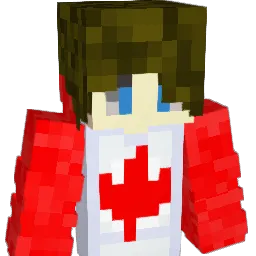 Seven07711 Minecraft avatar bust