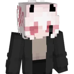 Minecraft-Avatar von Seyumei: Büste