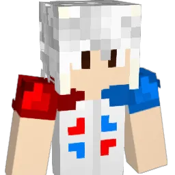 Sgnaft29 Minecraft avatar bust