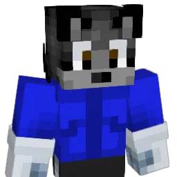 Sh4wn9906 Minecraft avatar bust