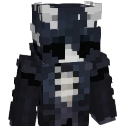 Shaadyn