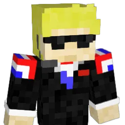 Shaddii Minecraft avatar bust