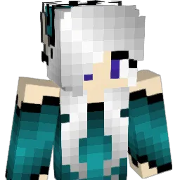 ShadowEclipse16 Minecraft avatar bust