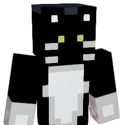 ShadowMurky Minecraft avatar bust