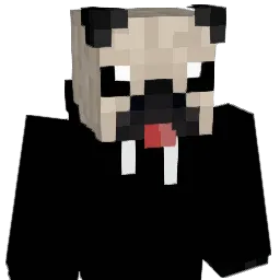 ShadowPug9791 Minecraft avatar bust