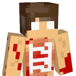 ShadowXXD Minecraft avatar bust