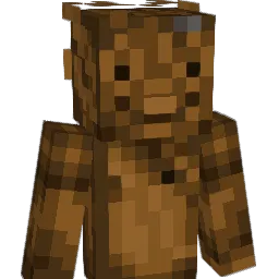 Shadow_follower