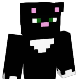 Shadowmaster2015 Minecraft avatar bust