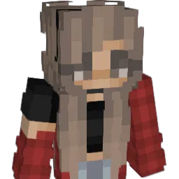 Shamu29 Minecraft avatar bust