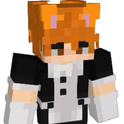 Sharpne22 Minecraft avatar bust