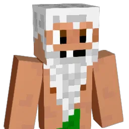 ShawLeBG Minecraft avatar bust