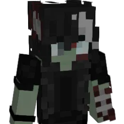Shay12289 Minecraft avatar bust