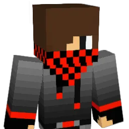 ShayTM1 Minecraft avatar bust