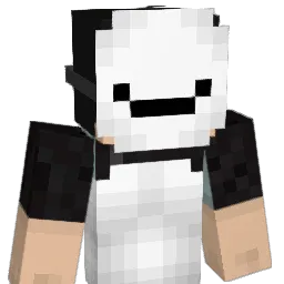 Shayan17's Minecraft skin