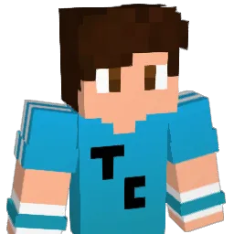 ShellderBr's Minecraft skin