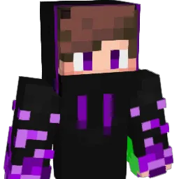 Shesin Minecraft avatar bust