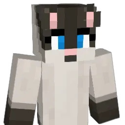 ShiftCraft's Minecraft skin