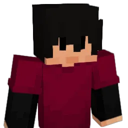 Shine_435 Minecraft avatar bust