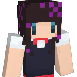 Shino_224 Minecraft avatar bust