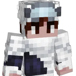 Shmuel_Gaming Minecraft avatar bust