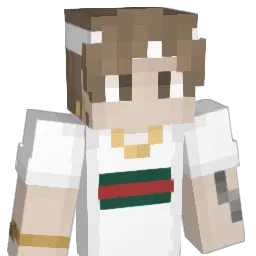 Shmurf_1703 Minecraft avatar bust