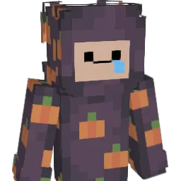 Shoeshiner84 Minecraft avatar bust
