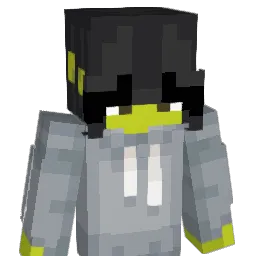 Shroud19 Minecraft avatar bust