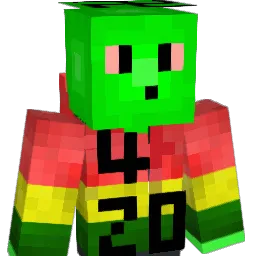 Shtankt_Biscuits Minecraft avatar bust
