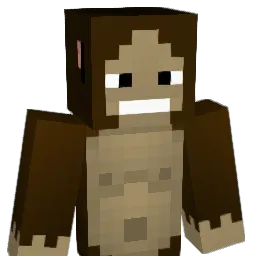 SiM__SiM Minecraft avatar bust