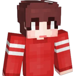 SiNamMan Minecraft avatar bust