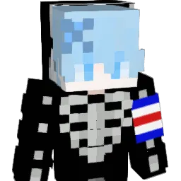 Sielk_ Minecraft avatar bust