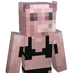 Siennaur Minecraft avatar bust