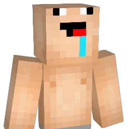 Sigve17 Minecraft avatar bust
