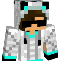 Siilver_Wolf Minecraft avatar bust