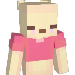 SilberWoot2010 Minecraft avatar bust