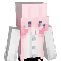 SilentRinn Minecraft avatar bust
