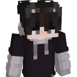 Silici0m_ Minecraft avatar bust