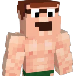 Silkybutt Minecraft avatar bust