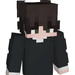 Siller22 Minecraft avatar bust